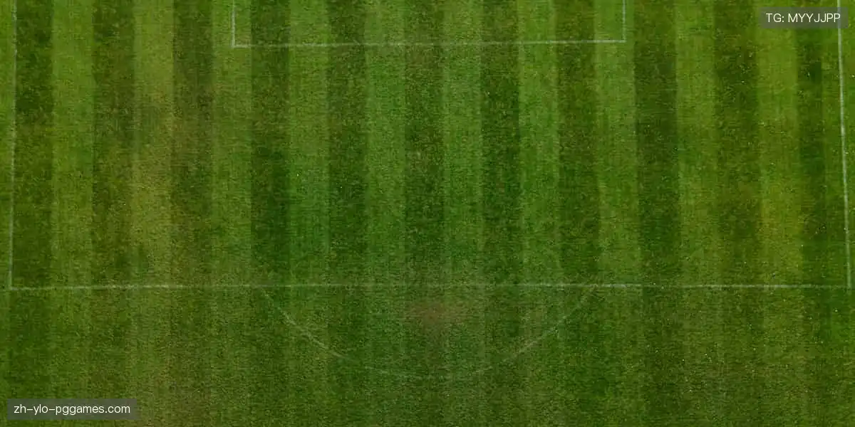 零时差直击赛场，沉浸式体验每一次心跳！📺⚽️